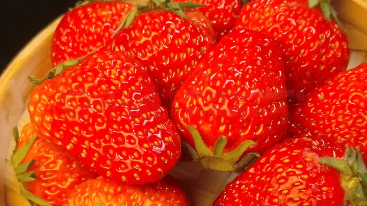 国产成人精品无码免费看 才是无码可持续的方向