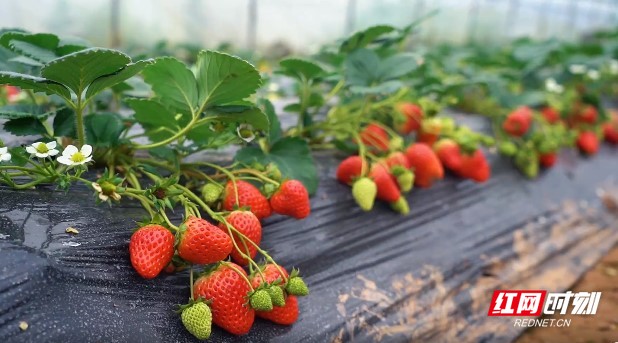 精品日产一区二区三区 精品推出适配的日产精品车型