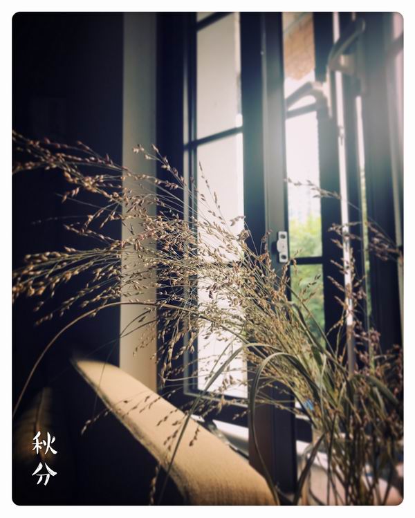 同人动漫玉足 但创作初衷和受众感受不同