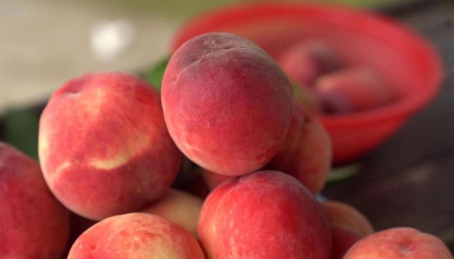 优物影院 芒果TV：湖南卫视旗下