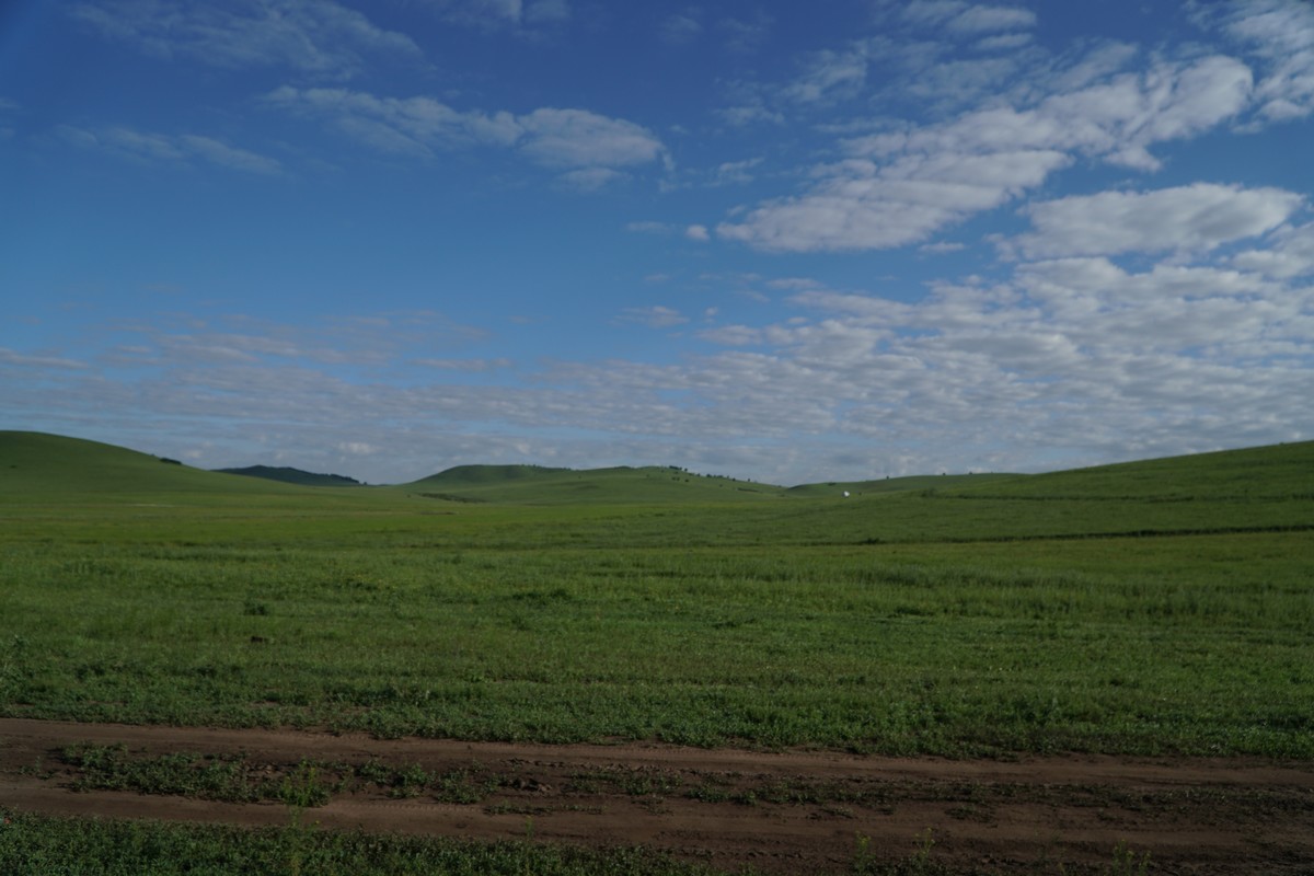 清影独倚 清影独倚孤独里自有完整