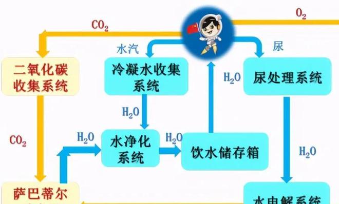 yp电影 韩国）情欲与阴谋交织