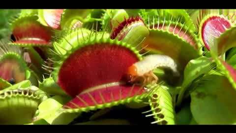 婷婷成人亚洲综合国产