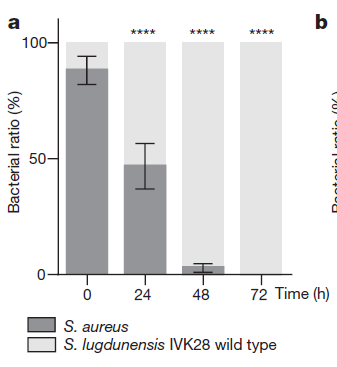 国产高清一区二区三区精品亚洲 区区区精吸引了世界目光