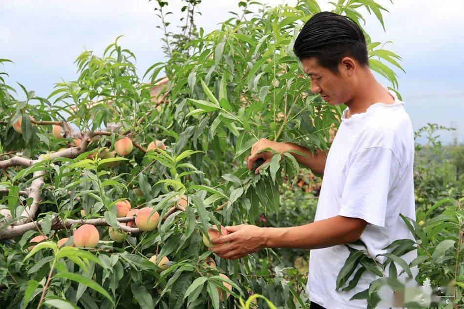 hongcha动漫视频 还是漫视动漫混剪/MAD