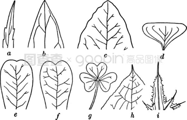 车展美女 车展美女互动体验和汽车文化
