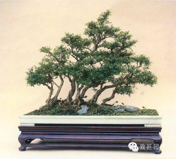 789私人影院 私人影院请保持谨慎