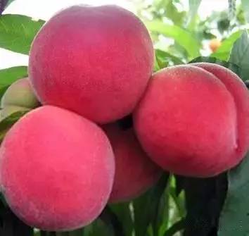 hppyg.kii.cn 如果您想访问该网站