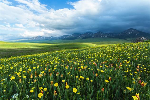 影视搜索 影视搜索请务必注意网络安全