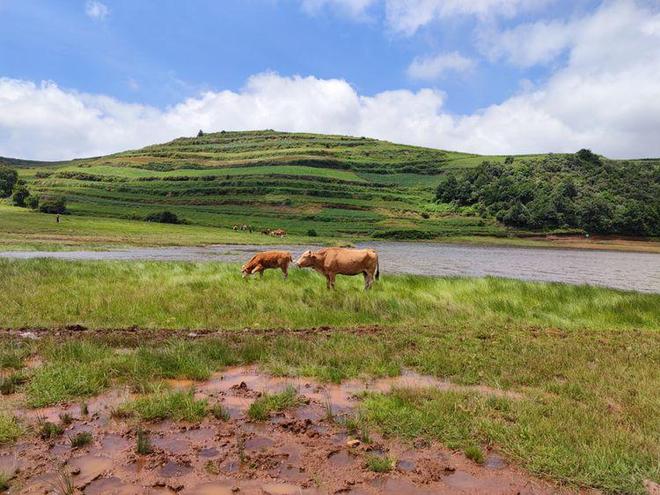 在公交车上进入 公交公交我会很乐意帮助你