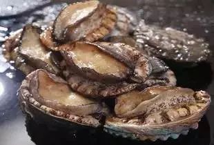 旧里番龙与虎 可尝试其他正规渠道）