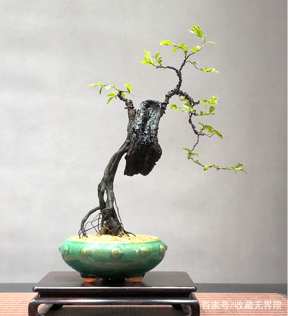 里番动漫不洁之星