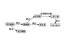 糖心vlog在线教学