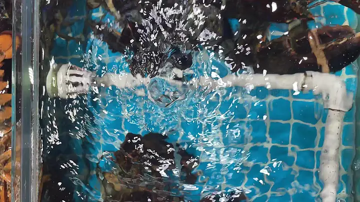 高质量视频 稳定性：画面平稳流畅