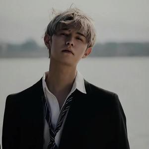 精品亚洲Aa在线无码播放