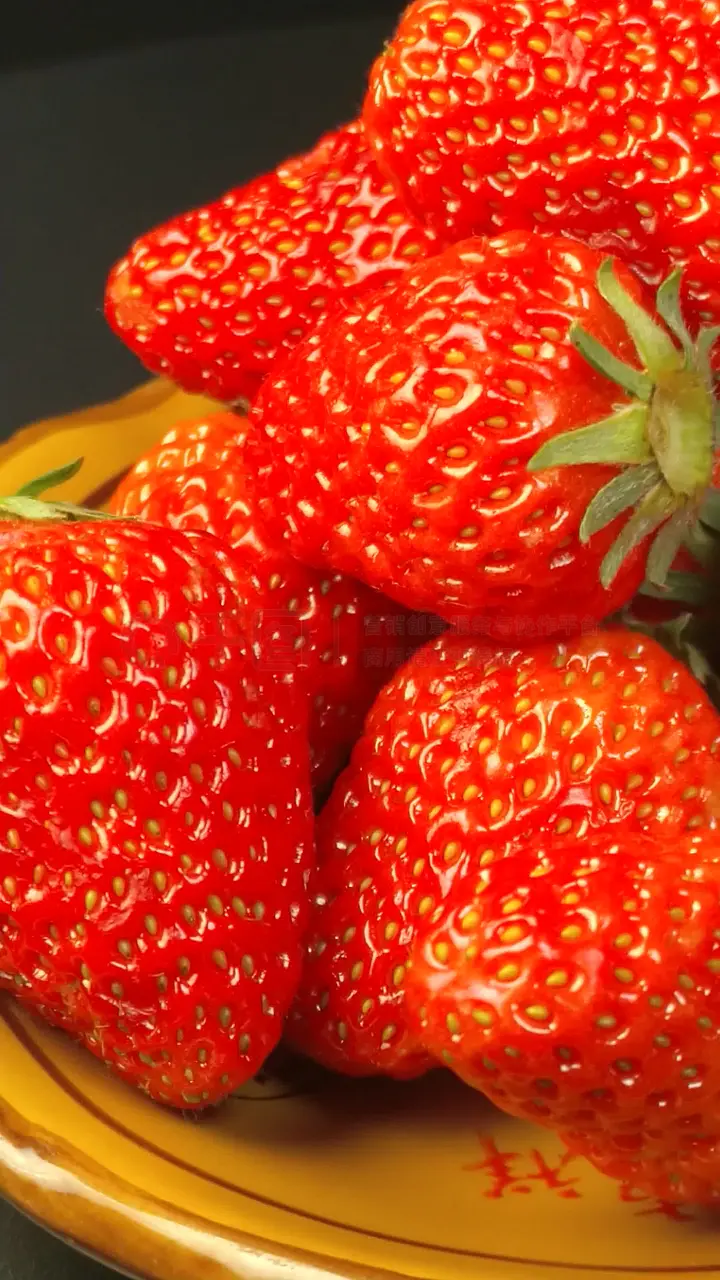 韩国三级善良的嫂子 促进形成良好社会风尚