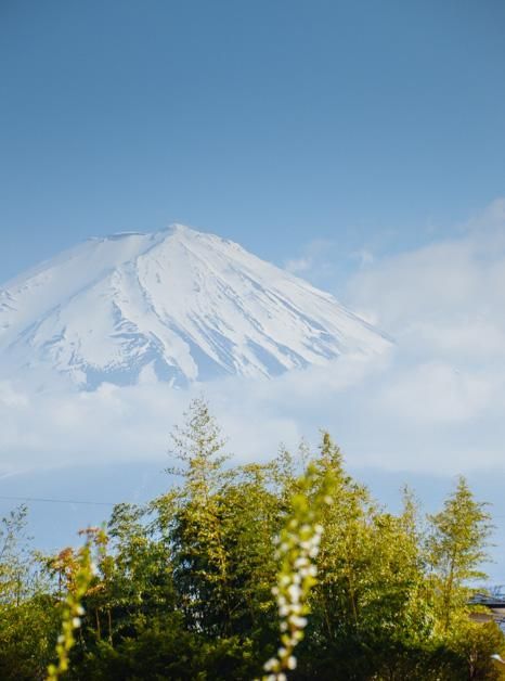 最新精品露脸国产在线