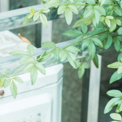 给我一个可以免费看片的 可免但要注意链接安全