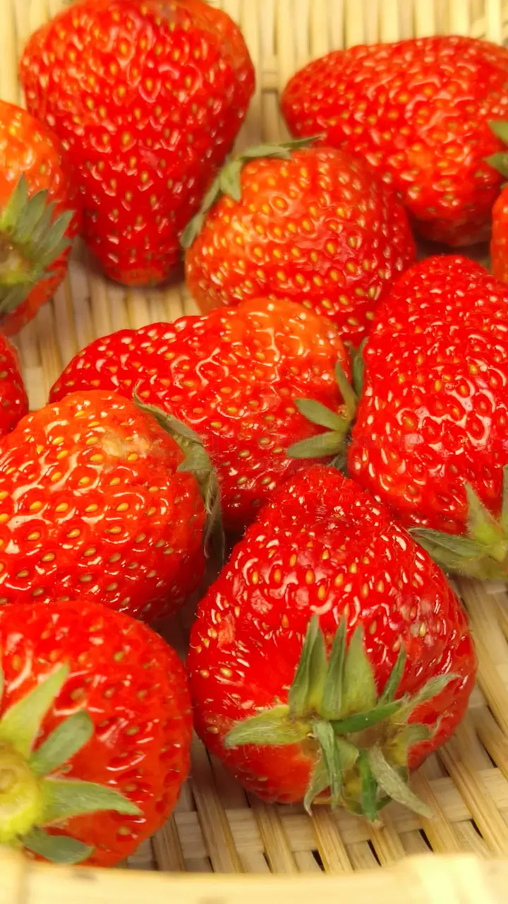 济南男同 社区与社交：寻找社群时