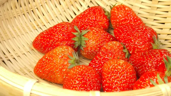 足浴会所高清在线观看 线观但需要提醒您：在中国