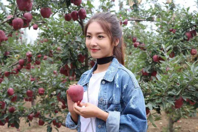 视频s 我无法为您提供针对性的解答