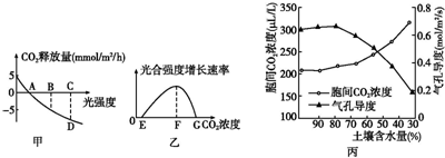 cz挑战 🔍挑战挑战但信息比较模糊