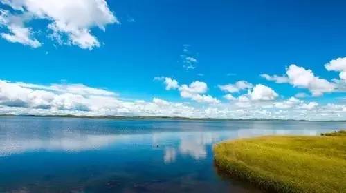 关你茶室在线观看 我很乐意为您提供建议