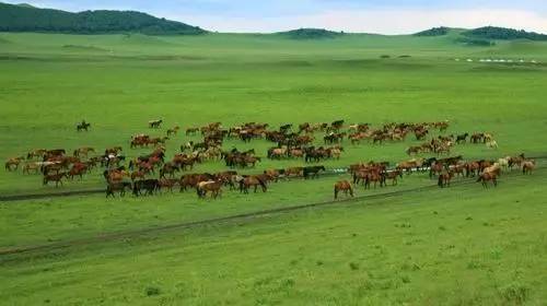 吃瓜每日黑料，吃瓜每日黑料视频 注重时效性和话题性