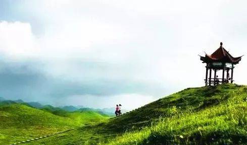 捷克街头中字 我可以帮您进一步分析