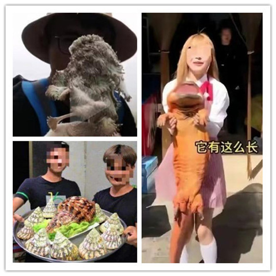 尤物秘书 能妥善处理内外部关系