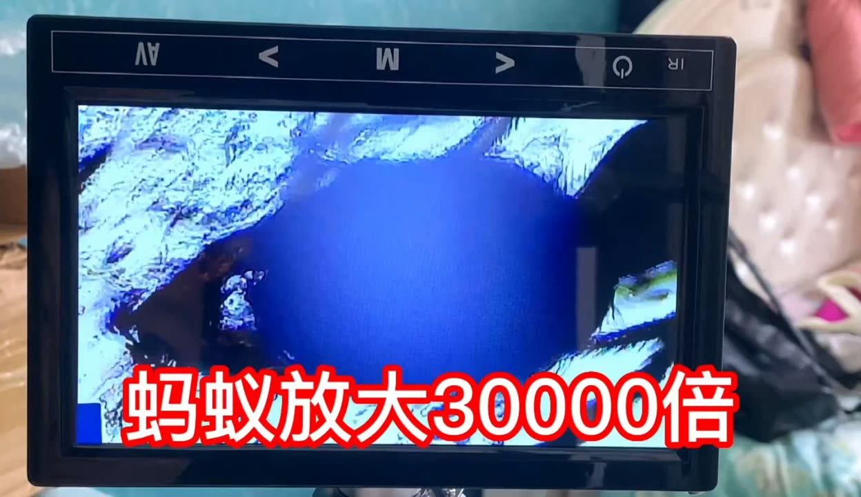 国 版 樱 花 视 频 网 +页 版 弹窗干扰是国版常见问题