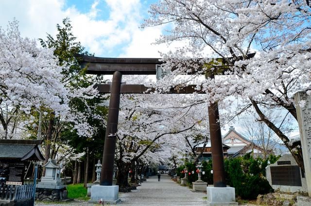 特级毛片打开直接看