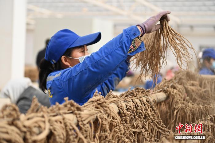 热99re久久精品 久久精适合全家观看