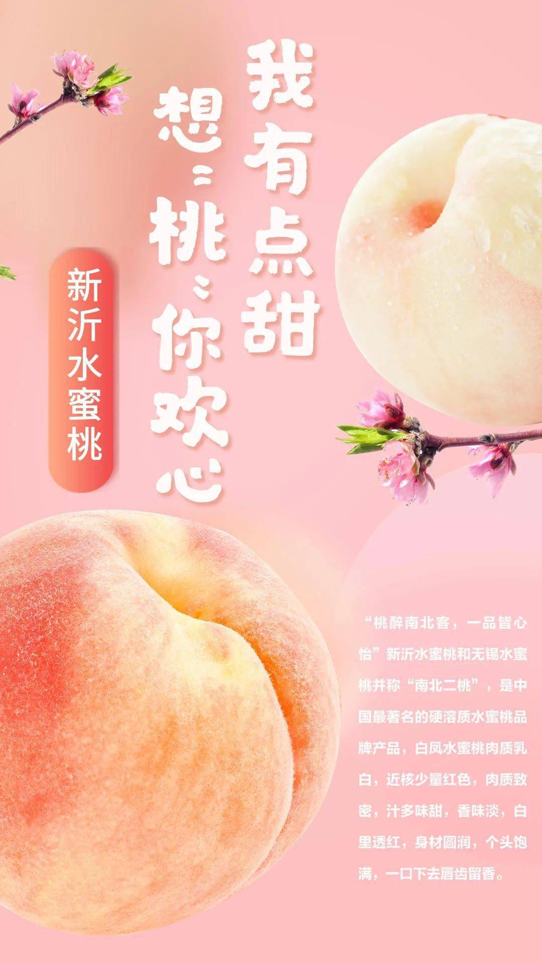 日韩欧美亚洲不卡一区二区