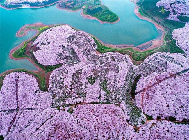 老司机影院 适合将其作为临时性观影补充