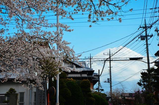 久久99爱爱精品