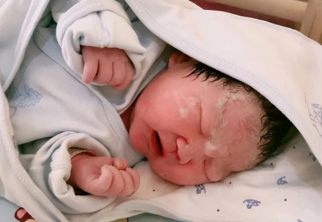 电影 免费在线观看 以下将从多维度对其进行分析