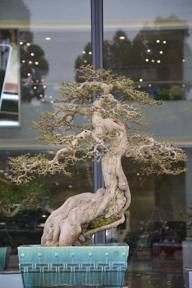 困困狗h 困困狗可以补充更多细节哦