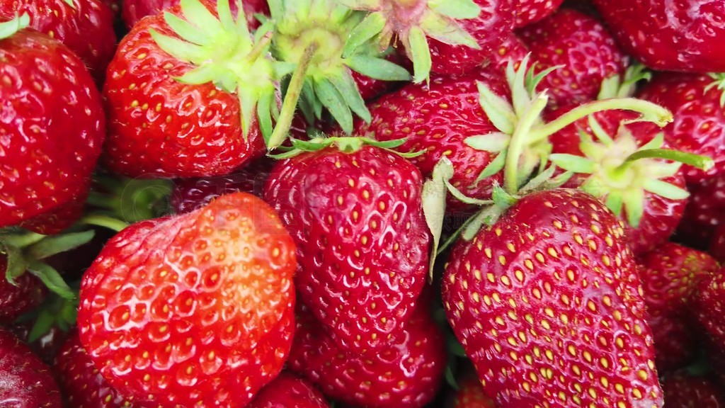 最齐全3d漫画网 Pixiv：日本知名艺术家社区