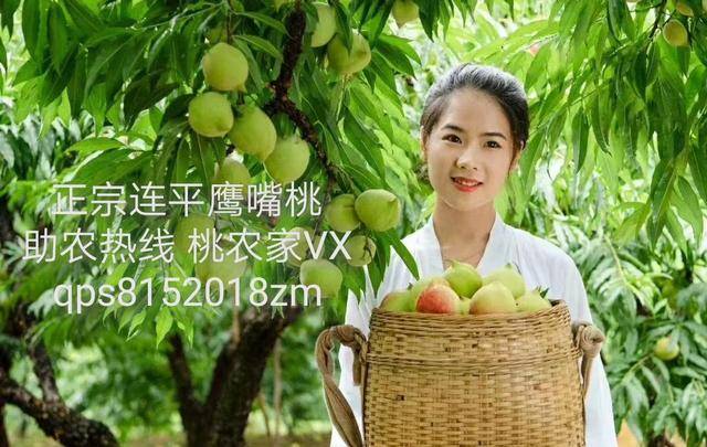 蓝破 蓝破支持磁吸快充技术