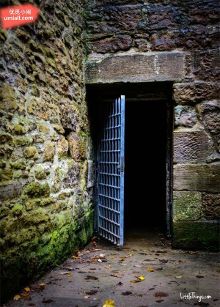 无码亚洲精品乱伦