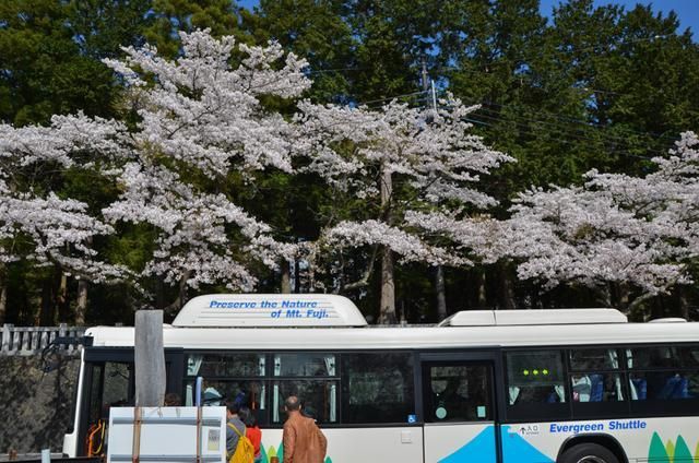 老色鬼在线精品视频在线观看