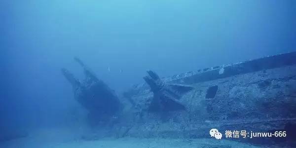 达君tatsu视频 如果您能提供更多描述