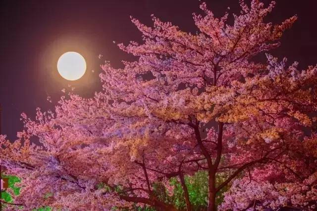 最新视频。 请告诉我您的最新视频需求