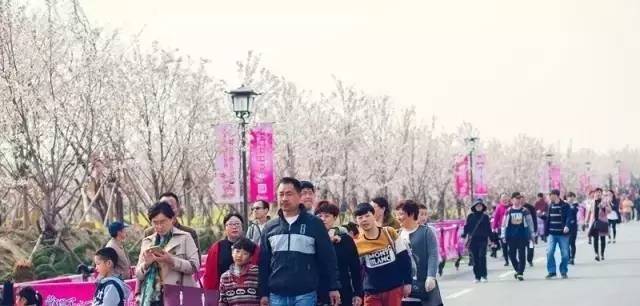 吃瓜软件破解版 解锁部分高级筛选功能