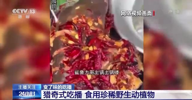 被绿帽的人 保障了用户的被绿隐秘需求