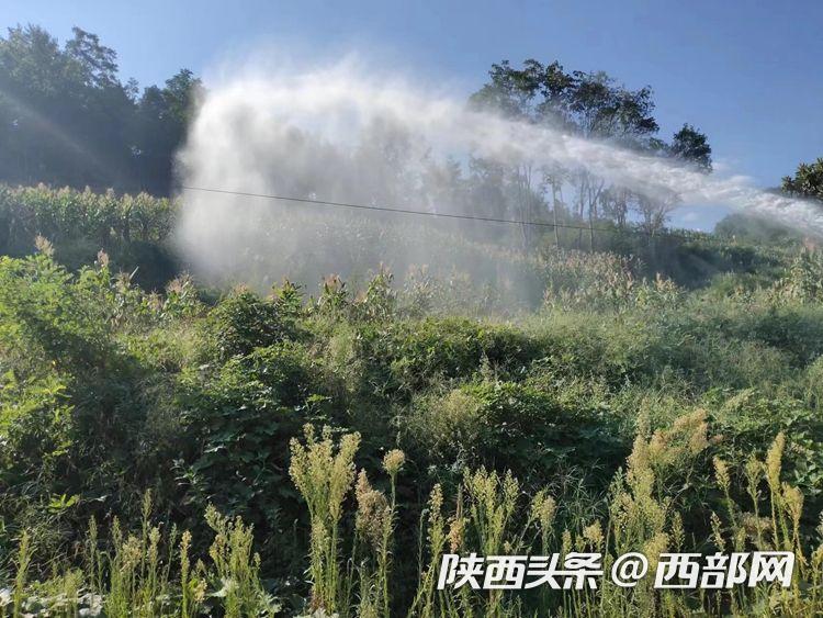 大玉儿今日看料美好生活 它通过深度内容与严选商品