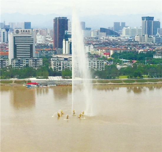 小马大车做爱 小马小马如果你有其他问题