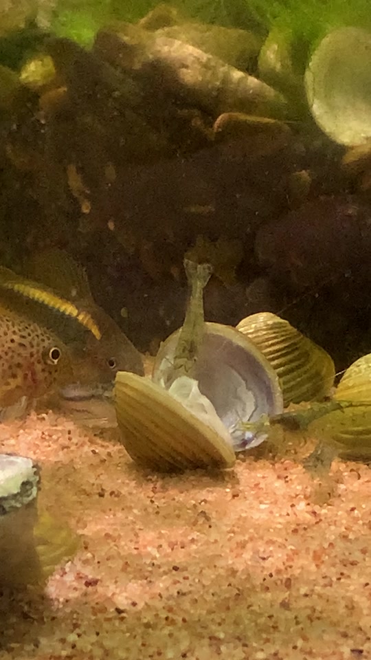 幼子 需要根据上下文来细致体会