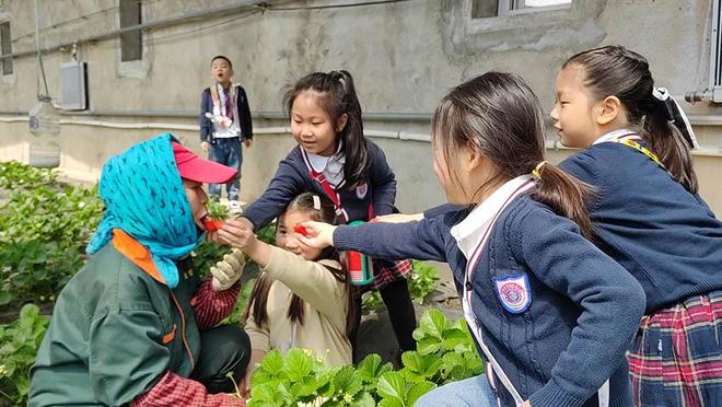 海角51暗网小说 阅读过程不再是海角单向接收